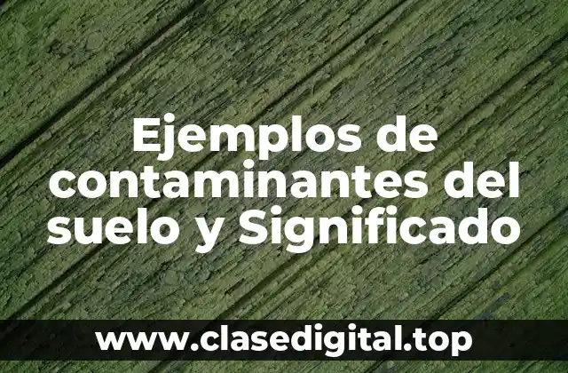 Ejemplos de contaminantes del suelo y Significado
