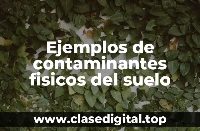 Ejemplos de contaminantes fisicos del suelo