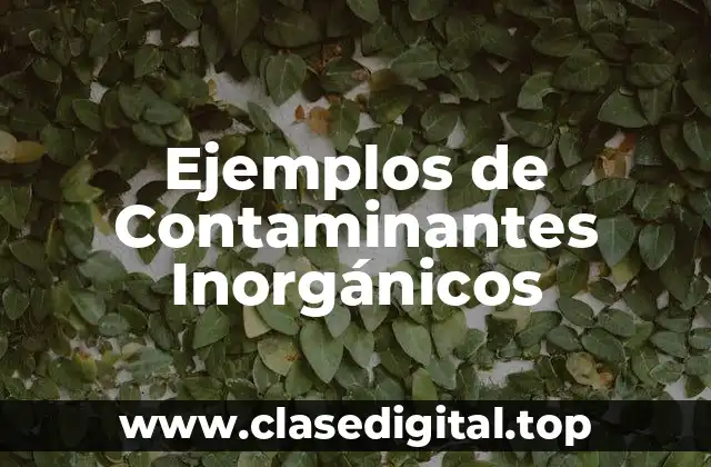 Ejemplos de Contaminantes Inorgánicos