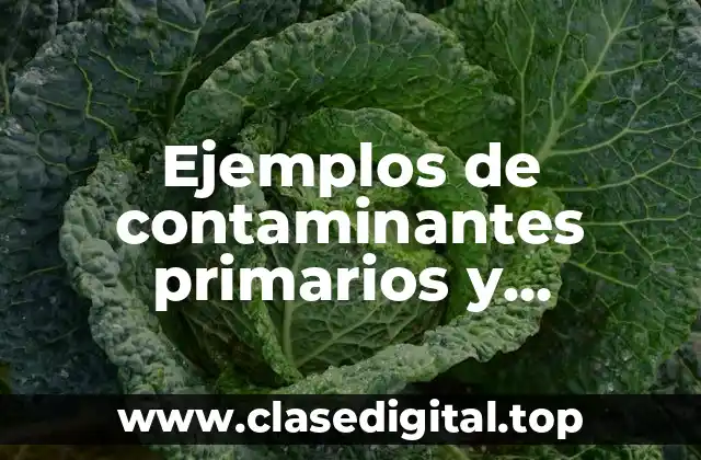 Ejemplos de contaminantes primarios y secundarios