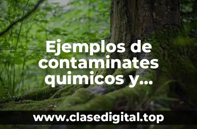Ejemplos de contaminates quimicos y Significado
