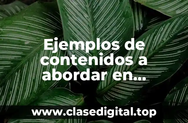 Ejemplos de contenidos a abordar en educación primaria y Significado