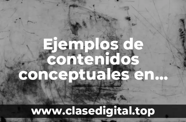 Ejemplos de contenidos conceptuales en ciencias sociales