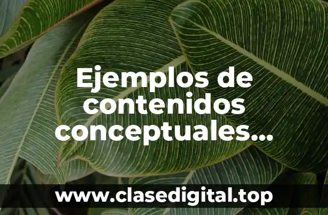 Ejemplos de contenidos conceptuales procedimentales y actitudinales y Significado
