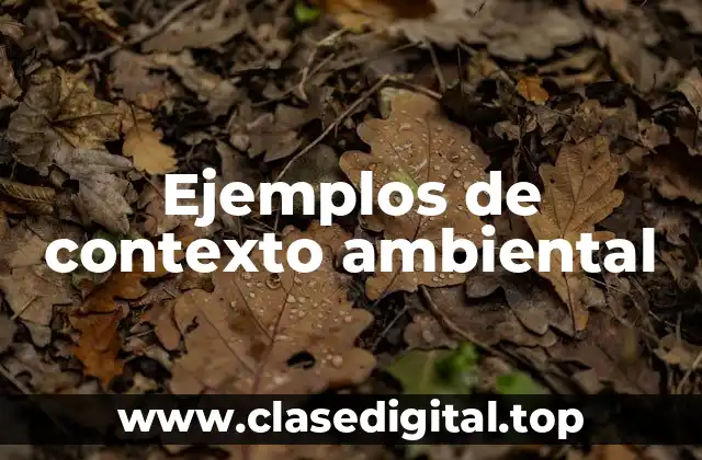 Ejemplos de contexto ambiental