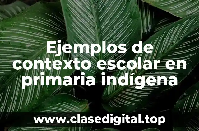 Ejemplos de contexto escolar en primaria indígena