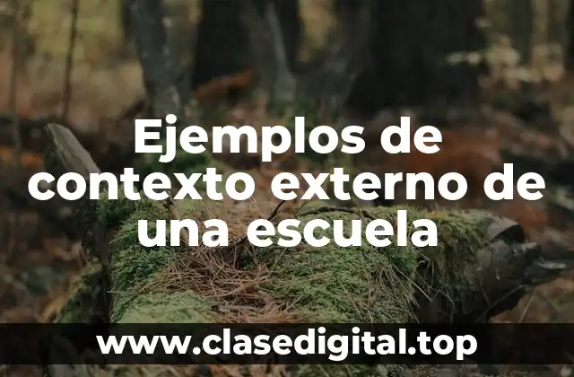 Ejemplos de contexto externo de una escuela