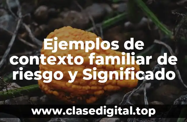 Ejemplos de contexto familiar de riesgo y Significado