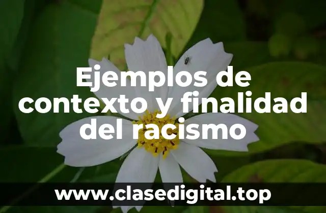Ejemplos de contexto y finalidad del racismo