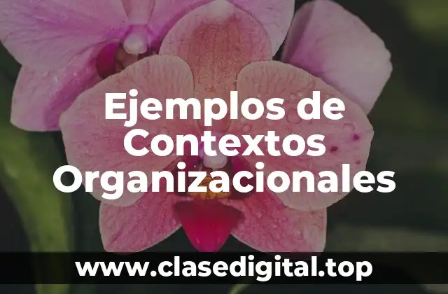 Ejemplos de Contextos Organizacionales