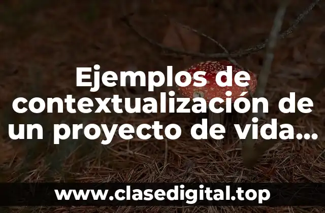 Ejemplos de contextualización de un proyecto de vida y Significado