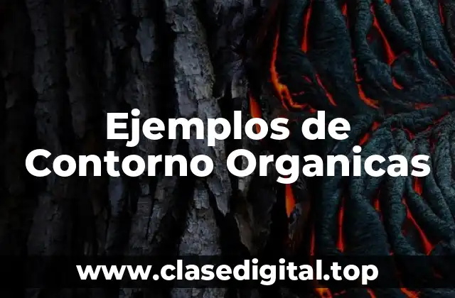 Ejemplos de Contorno Organicas