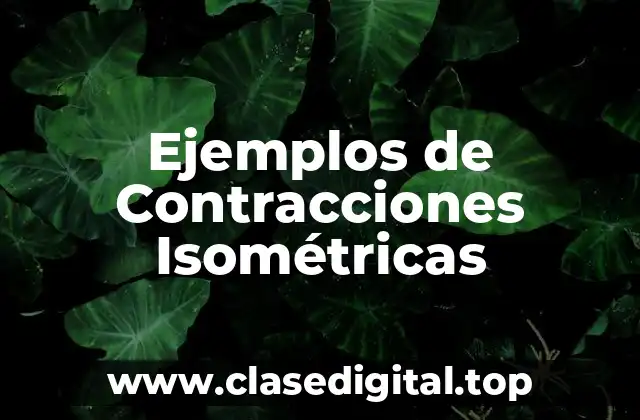 Ejemplos de Contracciones Isométricas