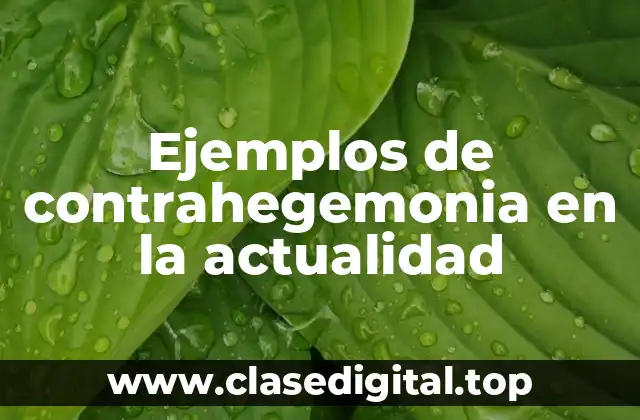 Ejemplos de contrahegemonia en la actualidad