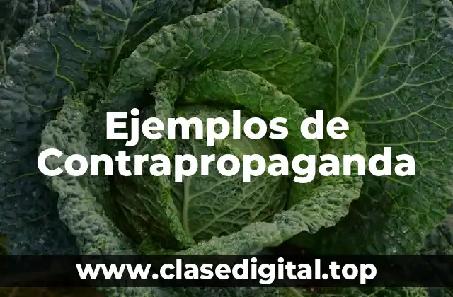 Ejemplos de Contrapropaganda