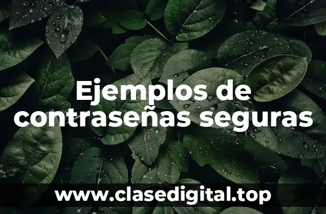 Ejemplos de contraseñas seguras