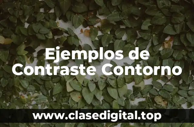 Ejemplos de Contraste Contorno