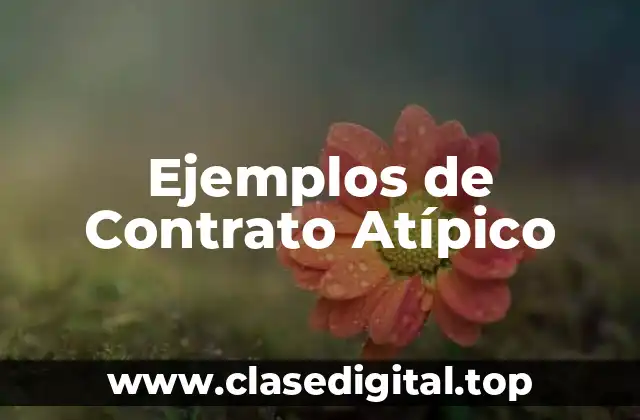 Ejemplos de Contrato Atípico