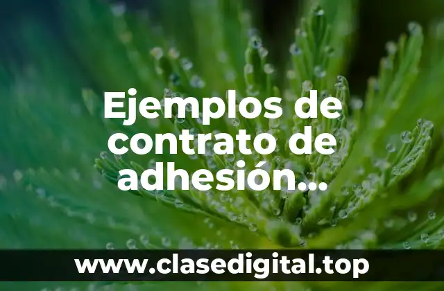 Ejemplos de contrato de adhesión dominicano