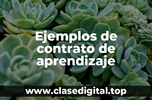 Ejemplos de contrato de aprendizaje