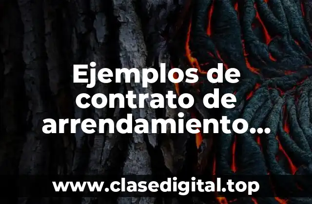 Ejemplos de contrato de arrendamiento Costa Rica