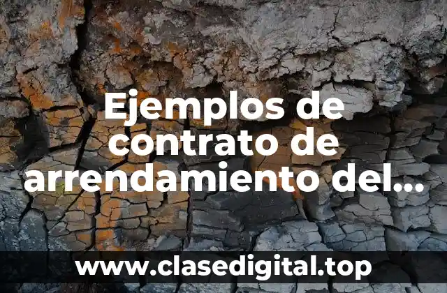 Ejemplos de contrato de arrendamiento del estado de Oaxaca