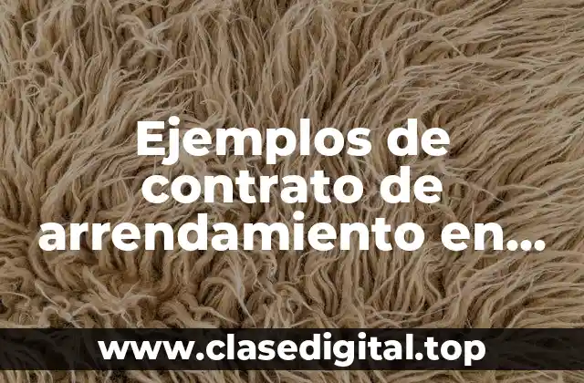 Ejemplos de contrato de arrendamiento en Florida Estados Unidos sencillo y Significado
