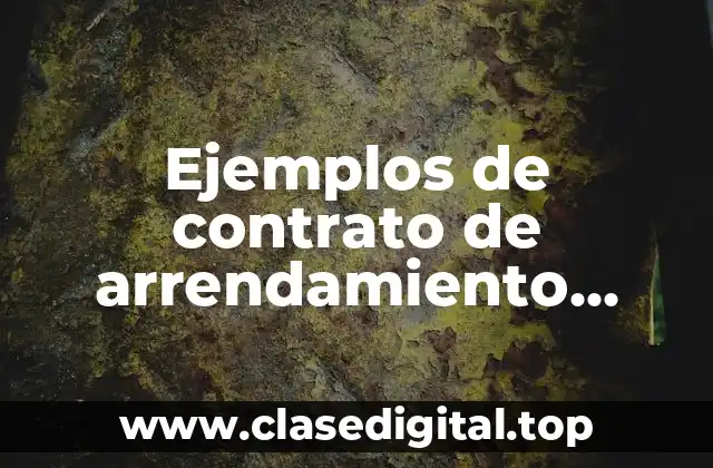 Ejemplos de contrato de arrendamiento mercantil en Ecuador