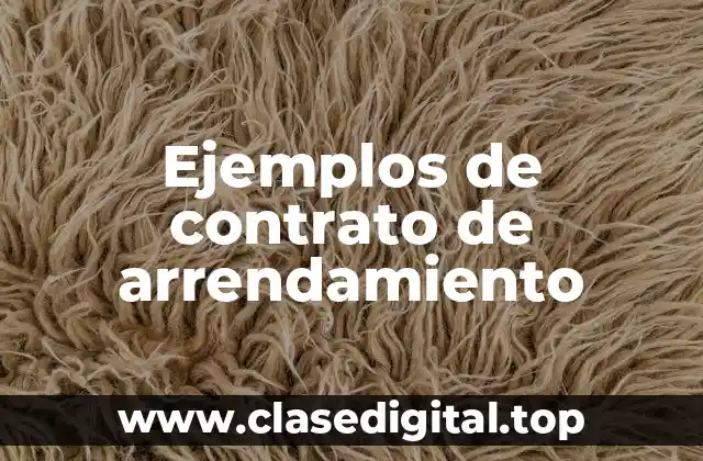Ejemplos de contrato de arrendamiento