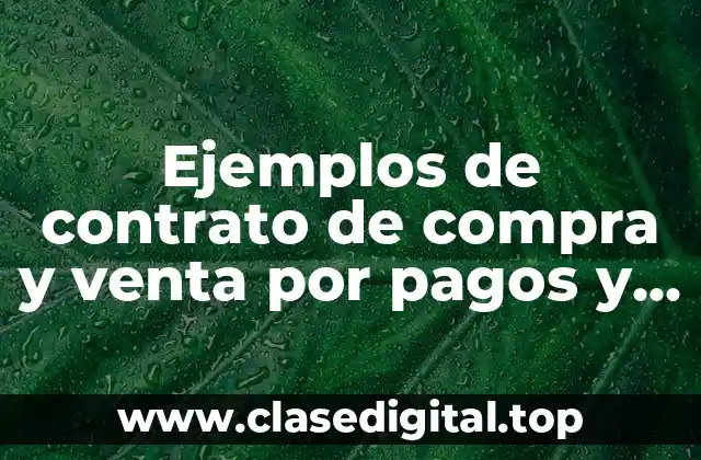 Ejemplos de contrato de compra y venta por pagos y Significado