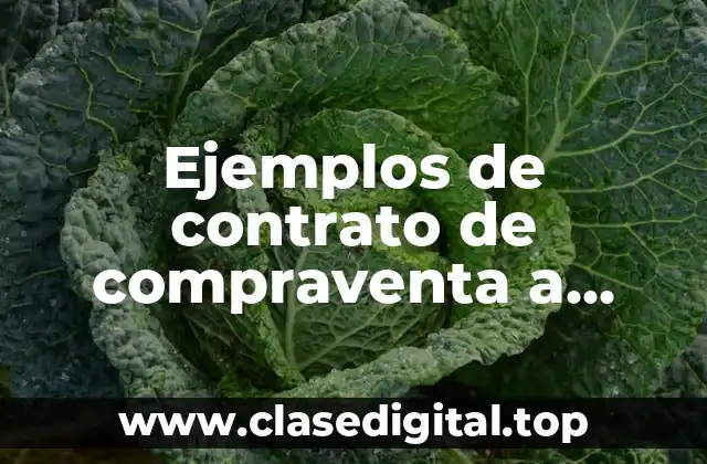 Ejemplos de contrato de compraventa a pagos