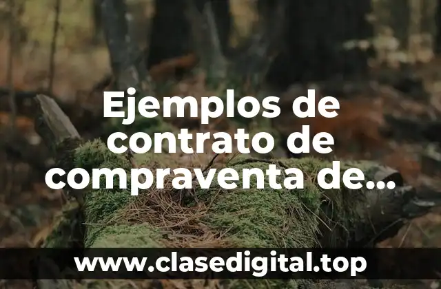 Ejemplos de contrato de compraventa de maquinaria