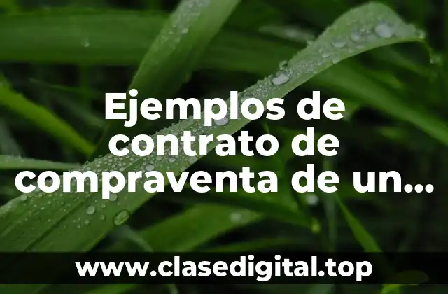 Ejemplos de contrato de compraventa de un camión