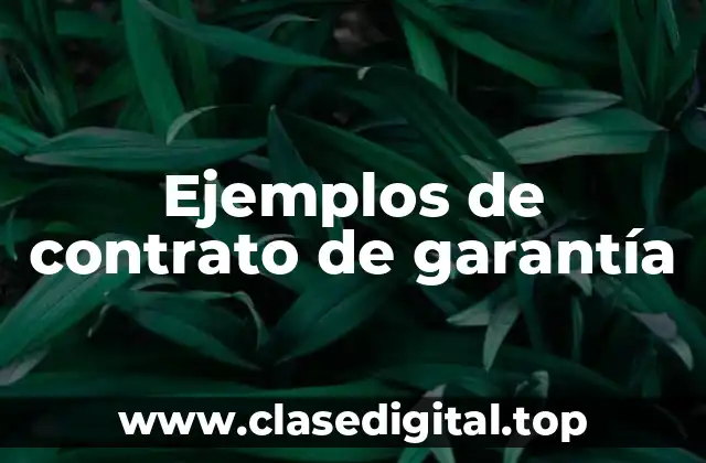 Ejemplos de contrato de garantía