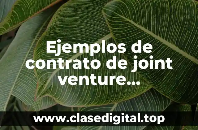 Ejemplos de contrato de joint venture internacional