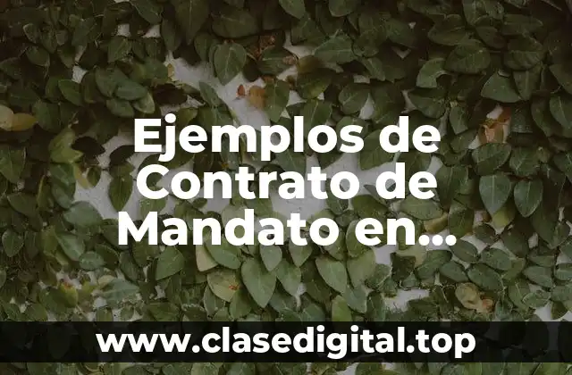Ejemplos de Contrato de Mandato en Colombia