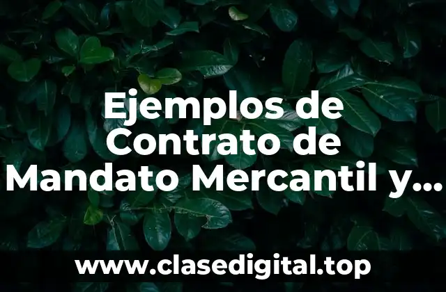 Ejemplos de Contrato de Mandato Mercantil y Significado