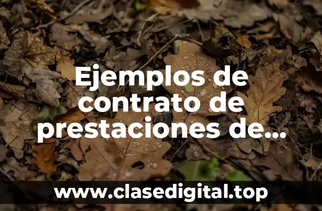 Ejemplos de contrato de prestaciones de servicios profesionales