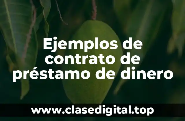 Ejemplos de contrato de préstamo de dinero