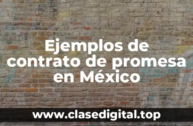 Ejemplos de contrato de promesa en México