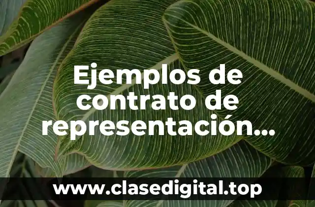 Ejemplos de contrato de representación escénica y Significado