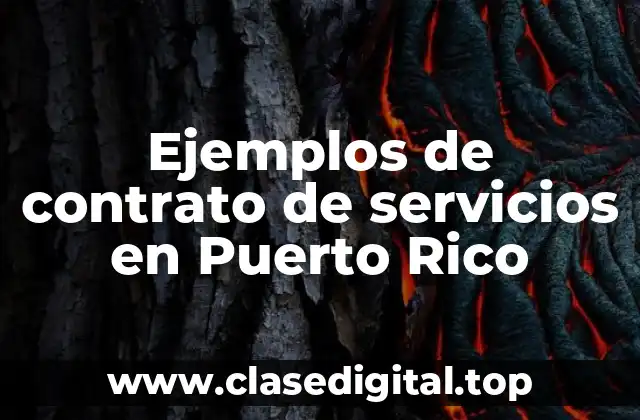 Ejemplos de contrato de servicios en Puerto Rico