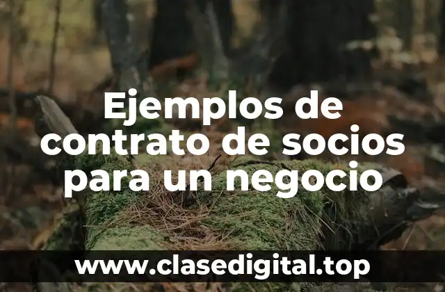 Ejemplos de contrato de socios para un negocio