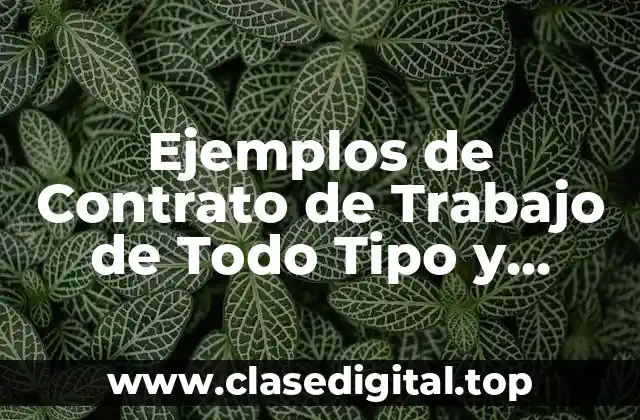 Ejemplos de Contratos de Trabajo de Todo Tipo