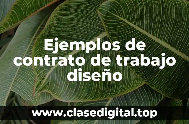 Ejemplos de contrato de trabajo diseño