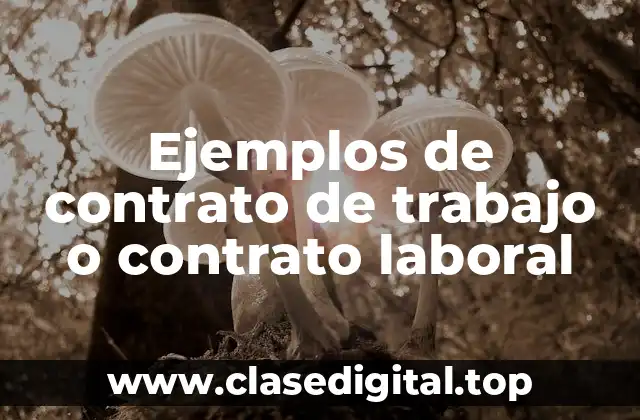 Ejemplos de contrato de trabajo o contrato laboral