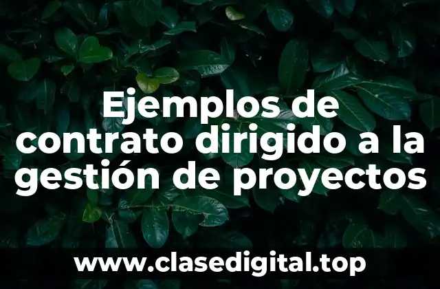 Ejemplos de contrato dirigido a la gestión de proyectos
