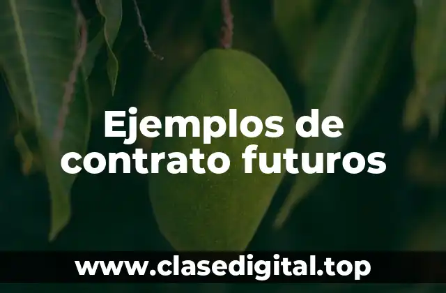 Ejemplos de contrato futuro