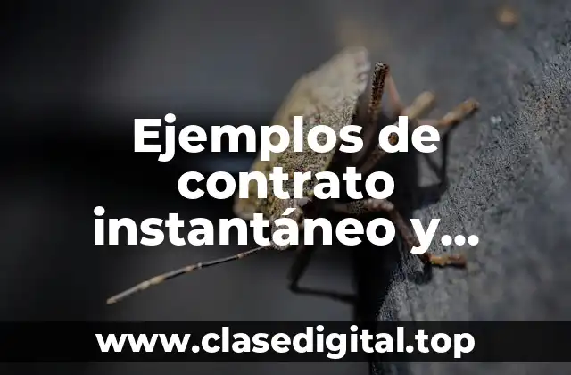 Ejemplos de contrato instantáneo y Significado