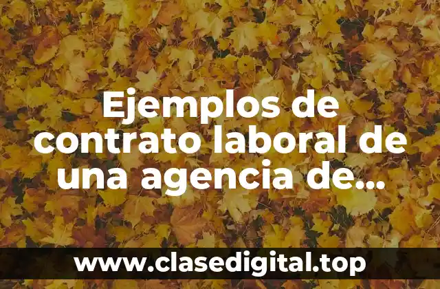 Ejemplos de contrato laboral de una agencia de viajes